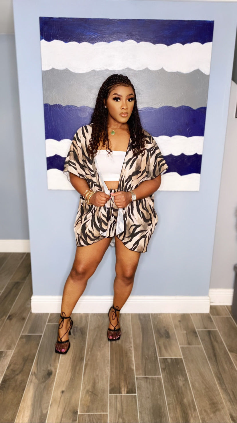 Zara Shorts Set