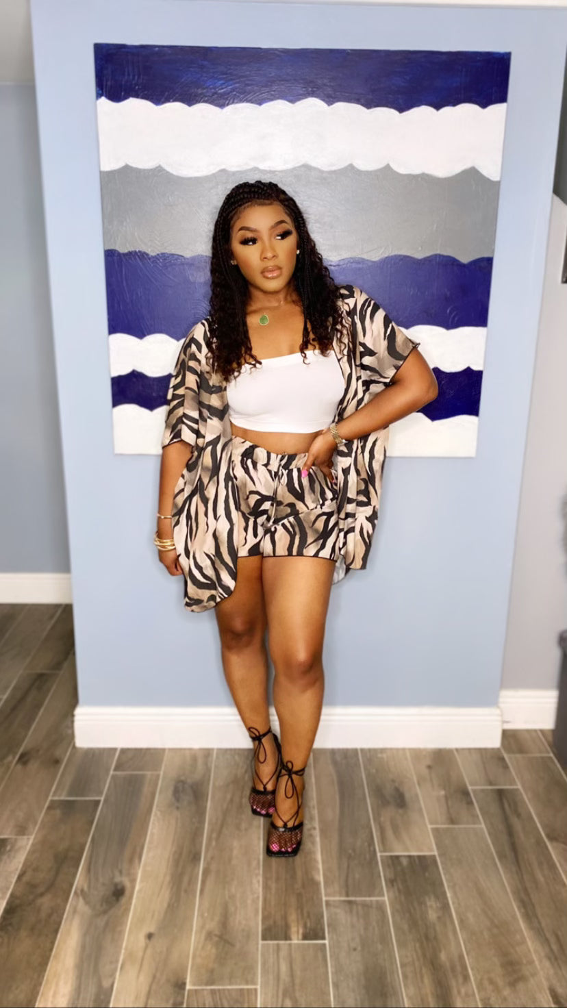 Zara Shorts Set