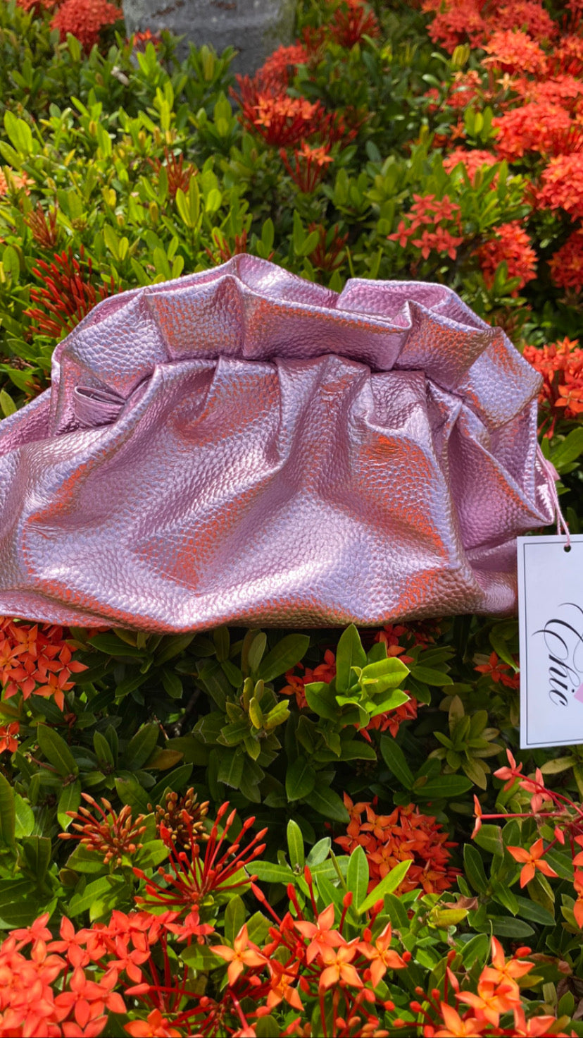 Metallic Cloud Purse