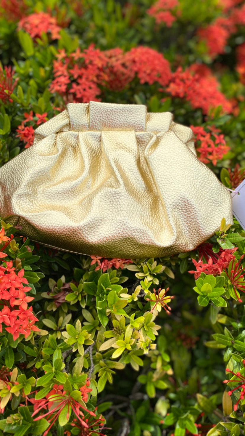 Metallic Cloud Purse