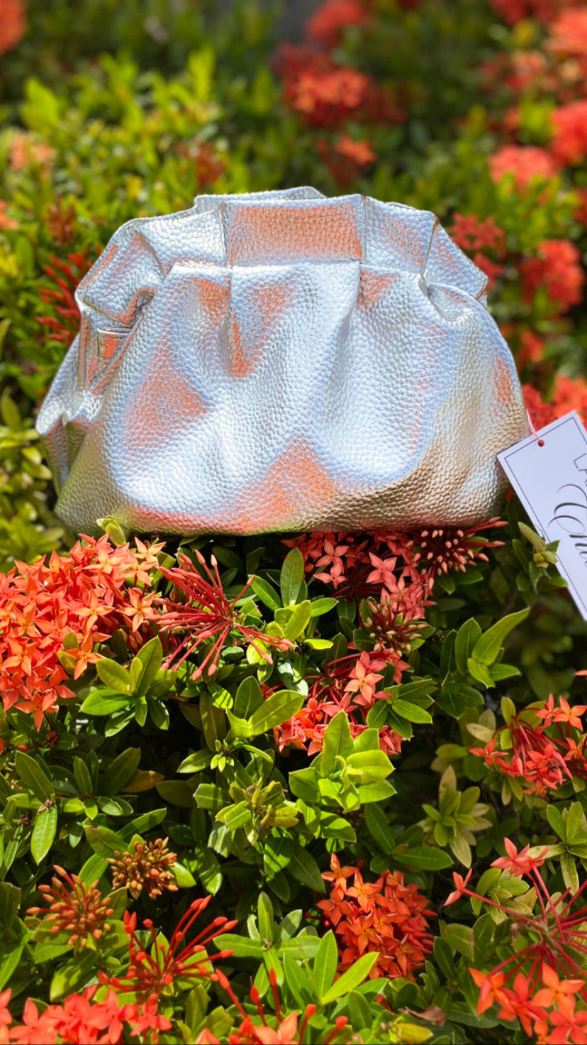 Metallic Cloud Purse